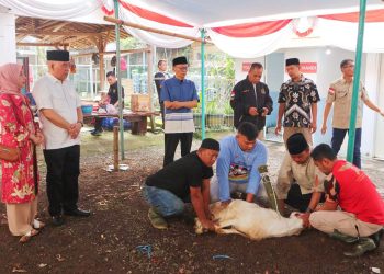 Hergun Bersama Keluarga Rayakan Idul Adha dengan Semangat Kebersamaan dan Berbagi