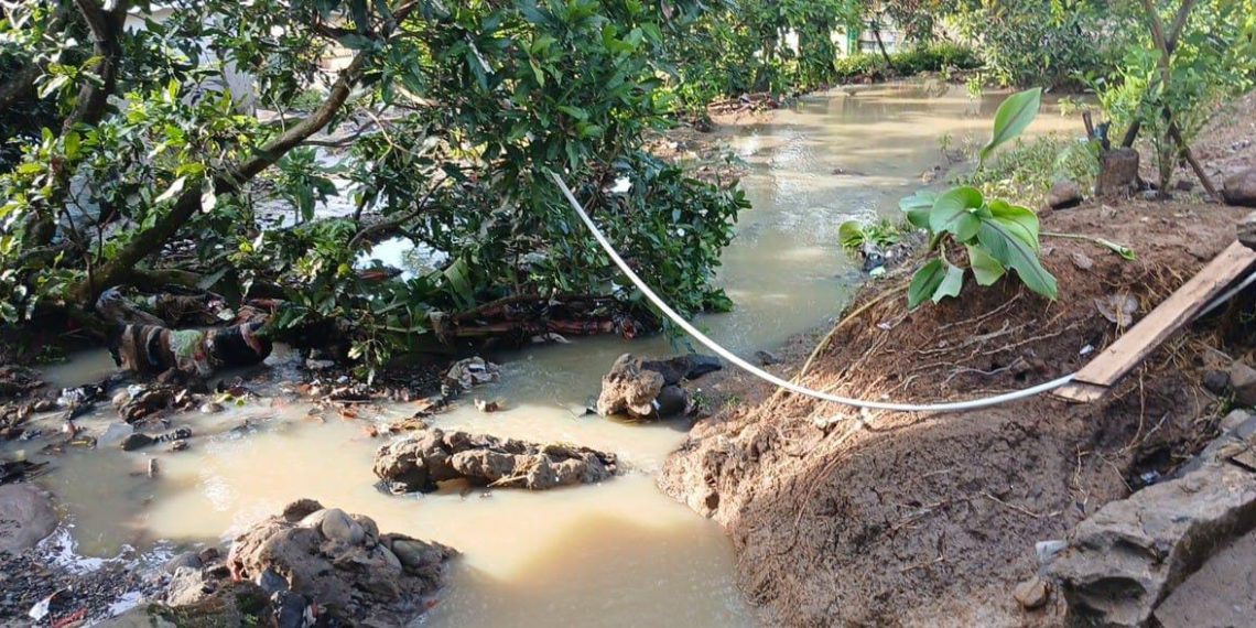 Distan Gerak Cepat Tangani Banjir di Cisolok, Ratusan Hektare Sawah Petani Terendam