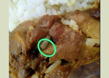 Heboh! Warga Temukan Belatung di Lauk MBG di Sekarwangi