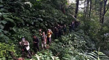 Tarif Masuk ke Kawasan TNGHS Turun 50 Persen, Berlaku Sejak Bulan November 2025