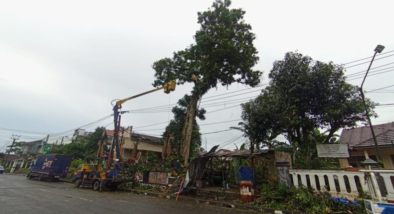 foto slider headline