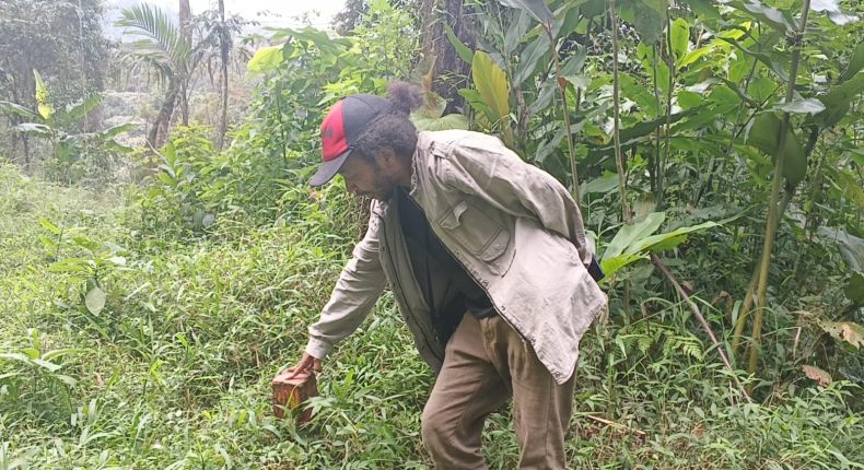 foto slider headline