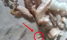 Diduga Ayam Tak Layak, Belatung Muncul di Menu MBG PAUD di Palabuhanratu 