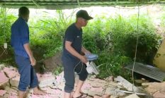 Detik-detik Tembok Penahan Tanah Ambruk Timpa Rumah di Sukabumi, Satu Keluarga Mengungsi