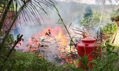Rumah Panggung di Kalibunder Ludes Terbakar, Motor dan Hand Traktor Ikut Hangus