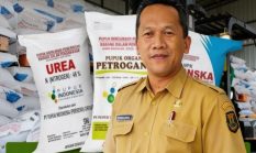 Dinas Pertanian Buka Suara Soal Dugaan Pupuk NPK Zonk, Siap Libatkan Provinsi untuk Uji Mutu