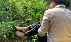 Heboh Penemuan Mayat di Kabandungan Ternyata Hoaks, Polisi Berhasil Selamatkan Seorang Wanita