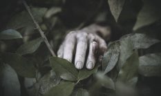 Geger Penemuan Kerangka Manusia di Hutan Jati Sagaranten, Polisi Selidiki Identitas Korban