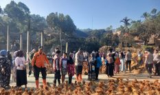 Leuit Kasepuhan Ciptamulya Tinggal Arang, Warga Berjuang Amankan Cadangan Pangan