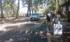 Nyaris Maut! Kendaraan Bak Angkut Orang Tertimpa Pohon di Cikakak