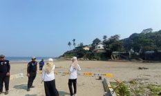 PENYU Cari Lokasi Ideal, Gadobangkong hingga Citepus Dibidik Jadi Kawasan Baru Mangrove