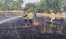 Diduga Bakar Sampah, Api Membesar di Belakang Pabrik Saos Cibadak