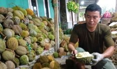 Panen Durian Cikakak Membludak, Petani Minta HJKS ke-156 Jadi Momentum Festival