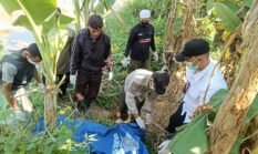 Dari Balik Semak, Warga Cisolok Temukan Jenazah Perempuan di Bawah Pohon Pisang