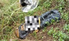 Temuan Mayat di Bawah Tol Bocimi Gegerkan Warga Ciambar