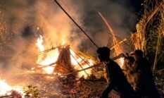 Lahan Sawit di Parakansalak Terbakar, Petugas Gabungan Evakuasi Cepat 