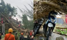 Usai Angin Kencang Terjang Cicurug, Bupati Asep Japar Minta Warga Tingkatkan Kewaspadaan