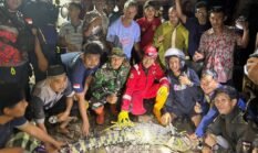 Buaya 70 Kg Terjerat Jaring di Sungai Cibubuay, Warga Simpenan Sebut Ada Buaya Kedua